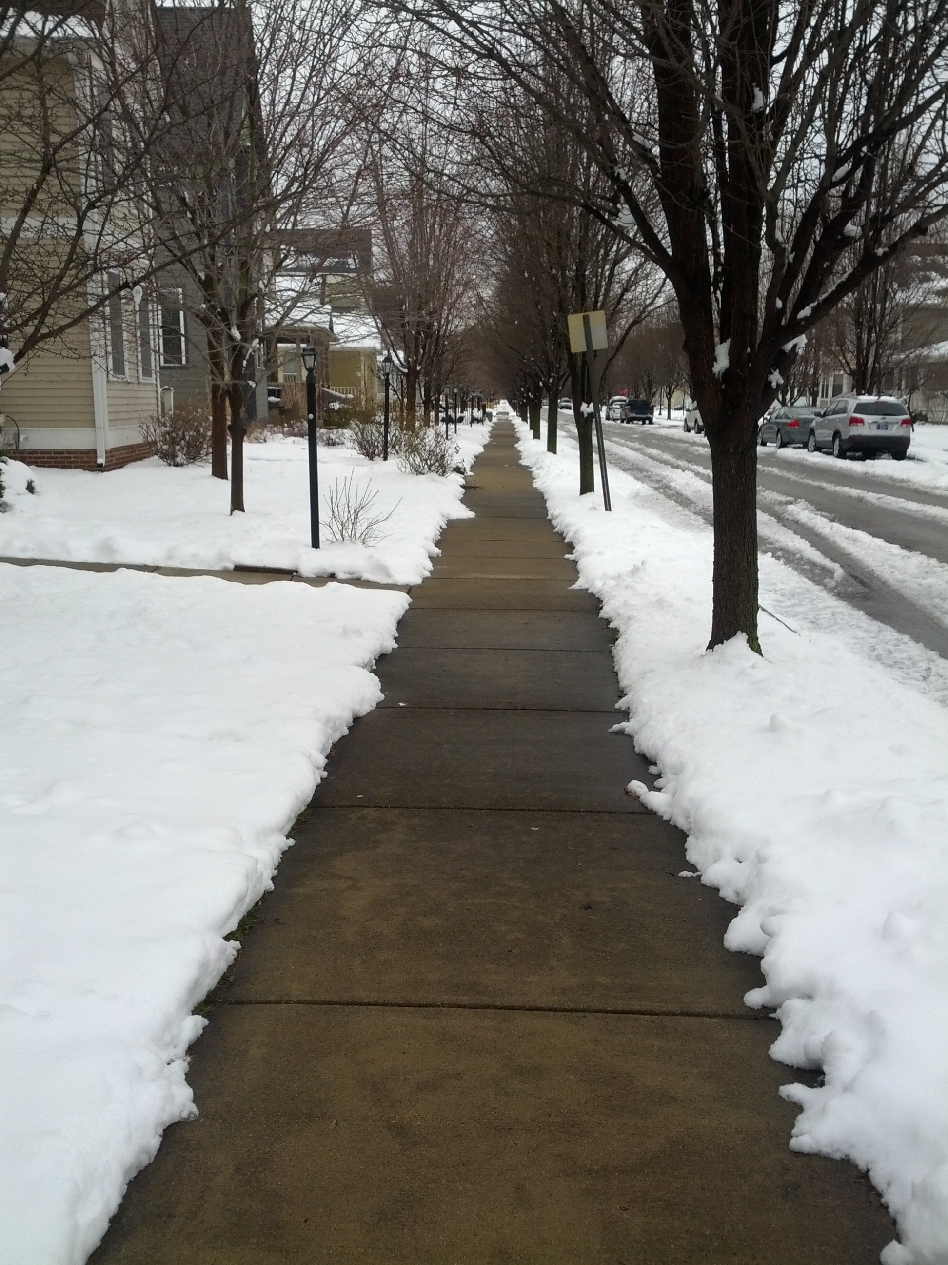 snow on sidewalk.jpg